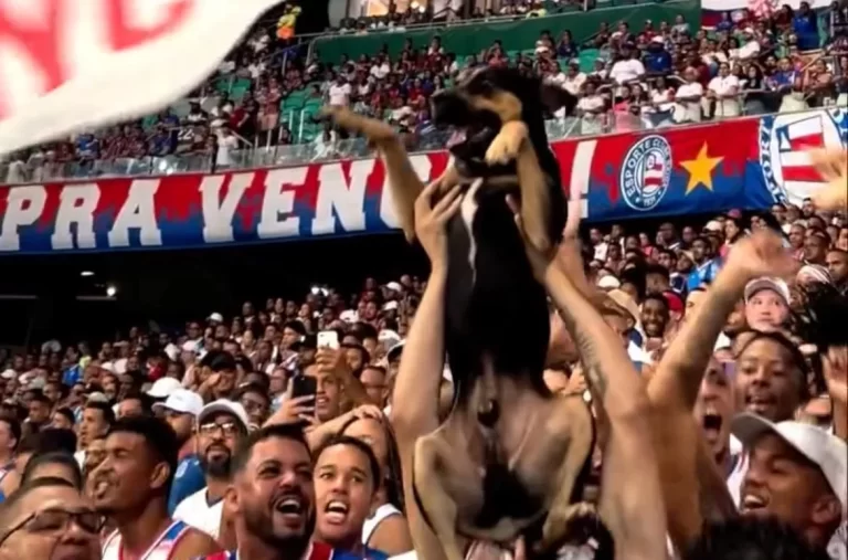Negao-retorna-a-Fonte-Nova-e-mostra-que-e-pata-quente-no-triunfo-do-Bahia