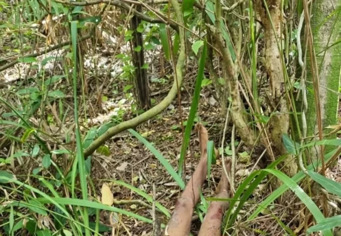 WhatsApp-Image-2025-05-22-at-12.48