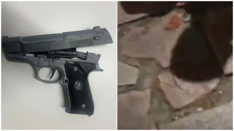 WhatsApp-Image-2025-08-31-at-11.21