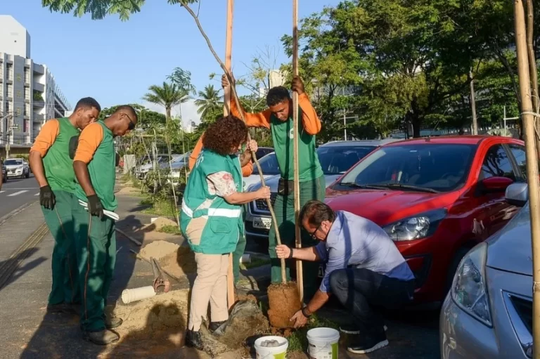 055a0a63-699f-4b8e-98c9-04b8cf9faa08