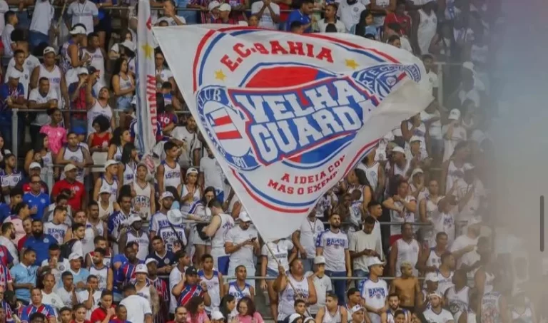 19f96afd-5989-4084-a5b0-bd0667ea508d