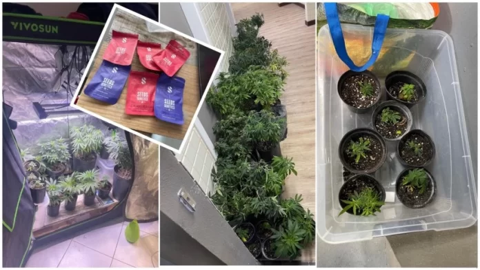 WhatsApp-Image-2025-09-03-at-08.35