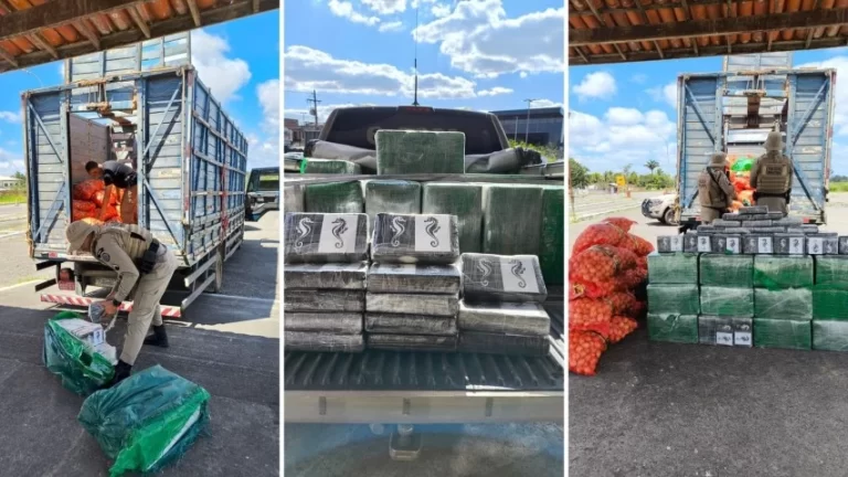 WhatsApp-Image-2025-09-10-at-17.06