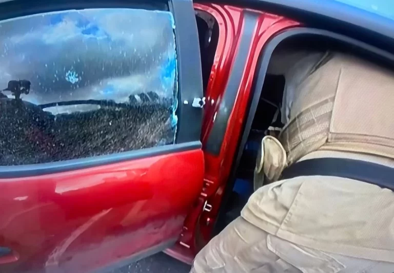 cee31f14-8042-4898-a157-97f1ffc501d2