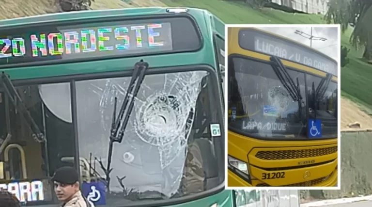 WhatsApp-Image-2025-10-13-at-11.08