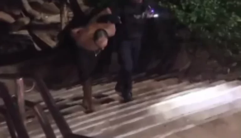 Captura-de-tela-2025-11-10-073656