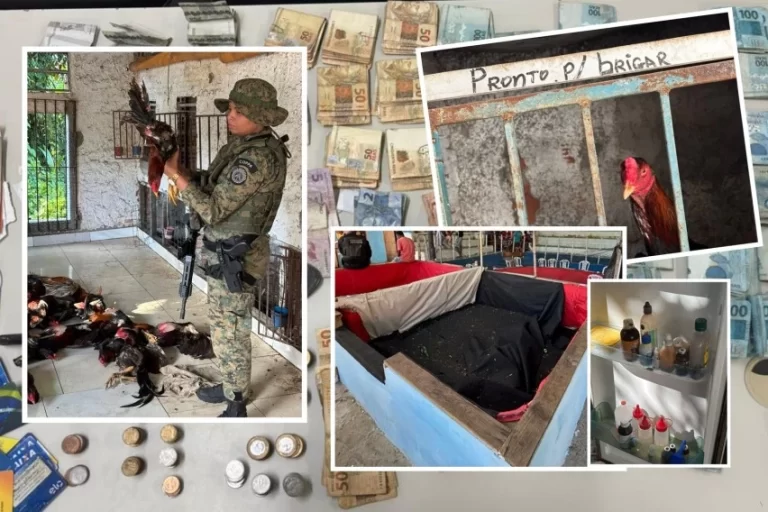 WhatsApp-Image-2025-11-03-at-08.00