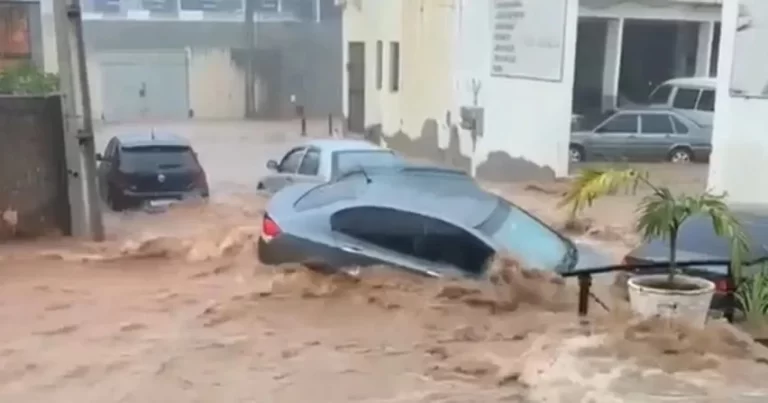 WhatsApp-Image-2025-11-11-at-08.29