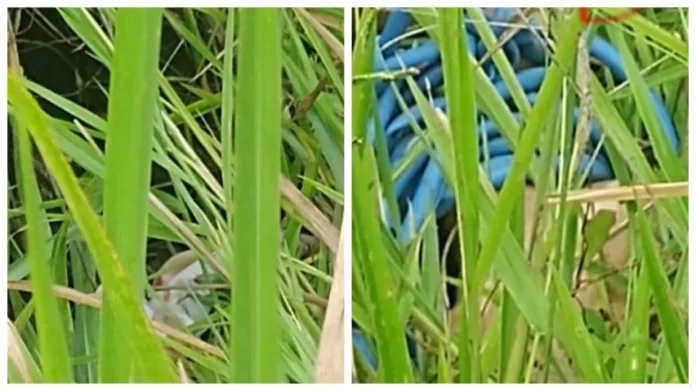 WhatsApp-Image-2026-03-31-at-11.07