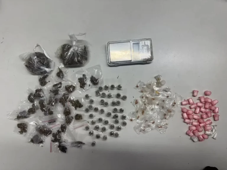 WhatsApp-Image-2026-04-01-at-10.10