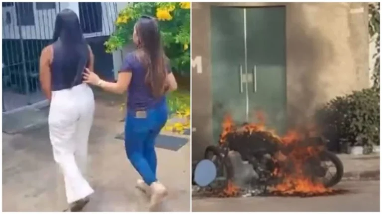 e8dd02ed-9fff-40d1-932e-0320df7ed375